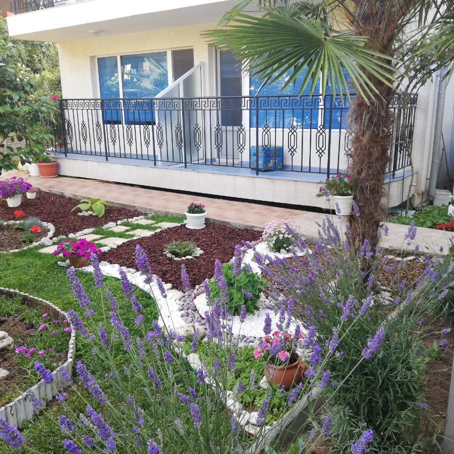 Albatros 2 Family Hotel Kiten  Εξωτερικό φωτογραφία