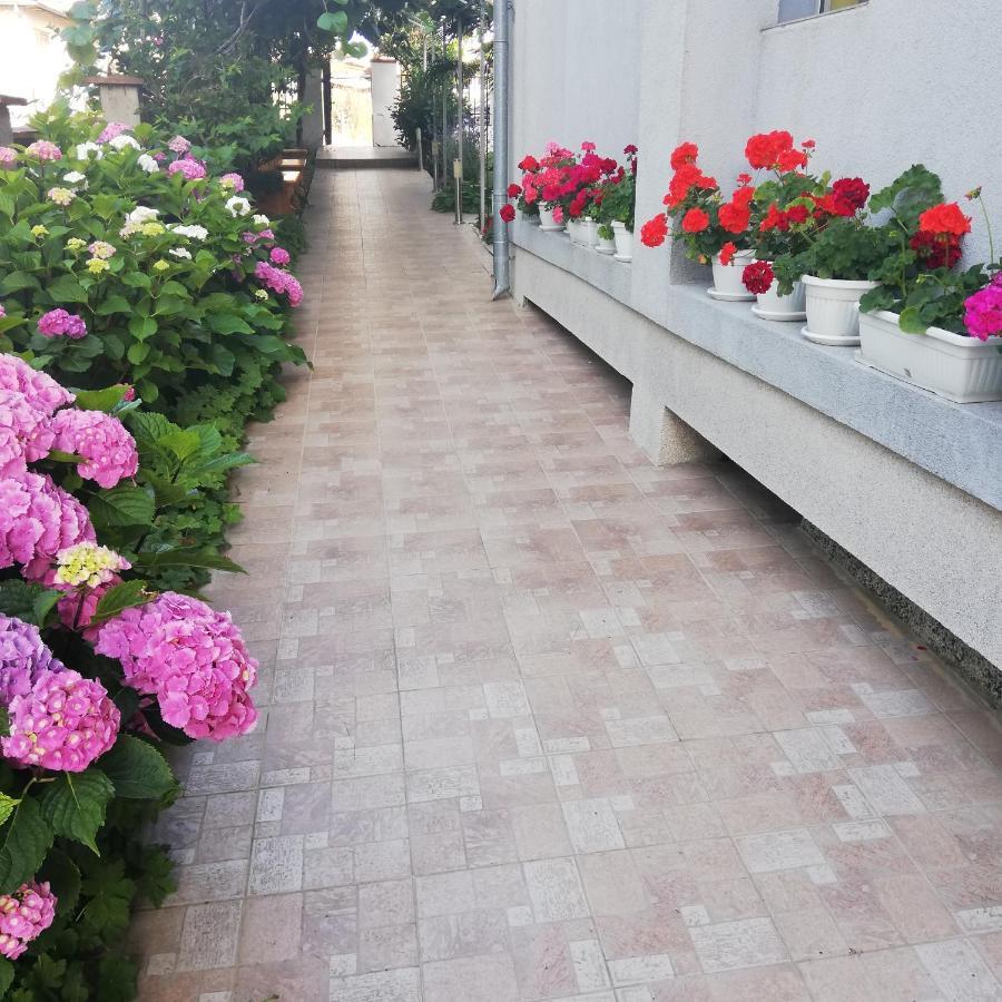 Albatros 2 Family Hotel Kiten  Εξωτερικό φωτογραφία
