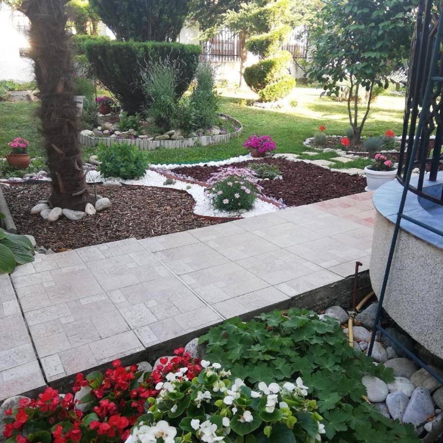 Albatros 2 Family Hotel Kiten  Εξωτερικό φωτογραφία